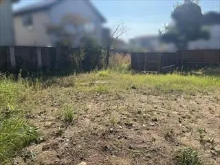 現地写真(2025年10月撮影)