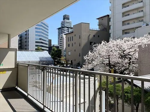 コープ野村東桜
