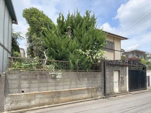 現地＿２０２５年６月撮影