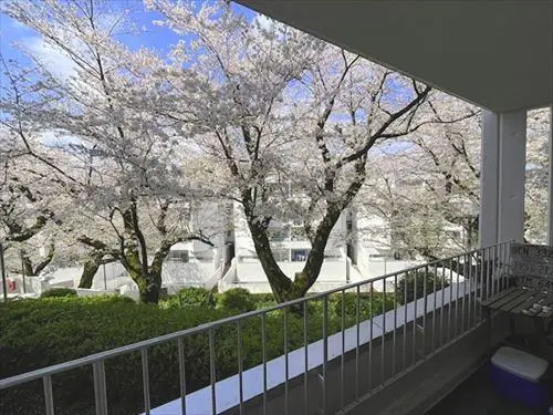桜台ビレジ
