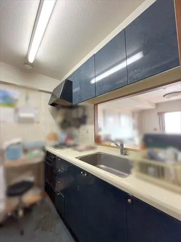 ダイアパレス桜木Ⅲ