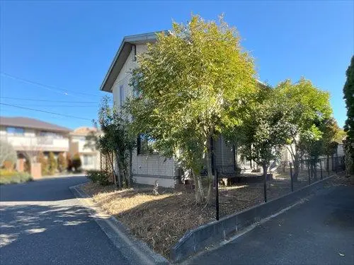 現地（２０２６年１月撮影）