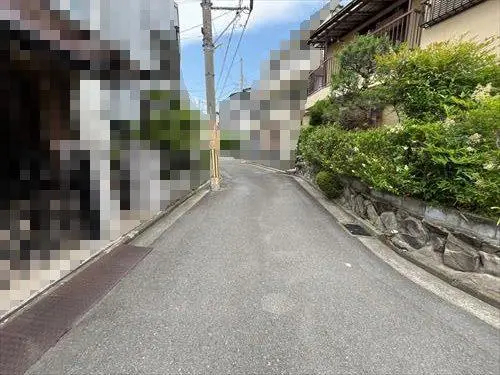 南側道路（２０２５年６月撮影）