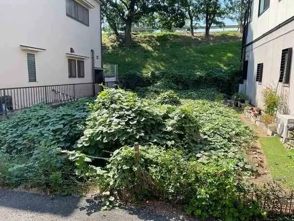 兵庫県尼崎市稲葉荘３丁目 土地