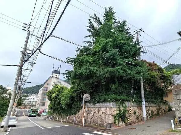 兵庫県神戸市灘区城の下通２丁目 土地