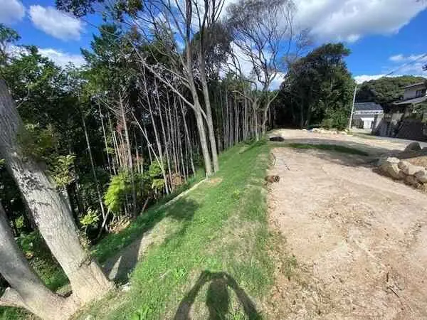 福岡県福岡市南区柏原１丁目 土地