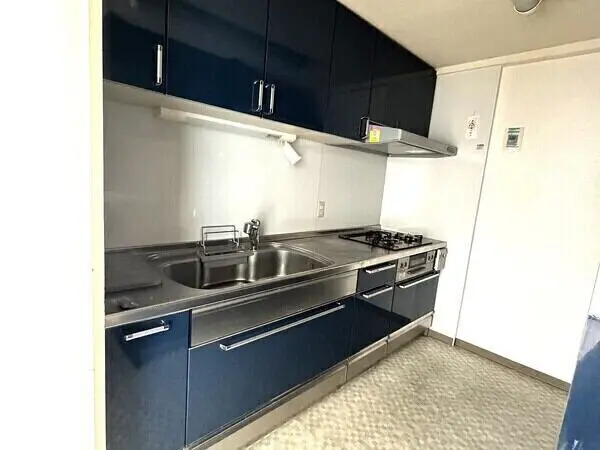 星和プラネタウン千里南第1期