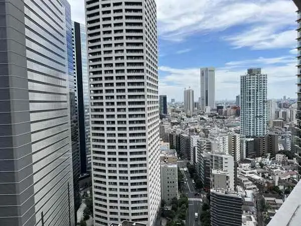 ザ・パークハウス西新宿タワー60
