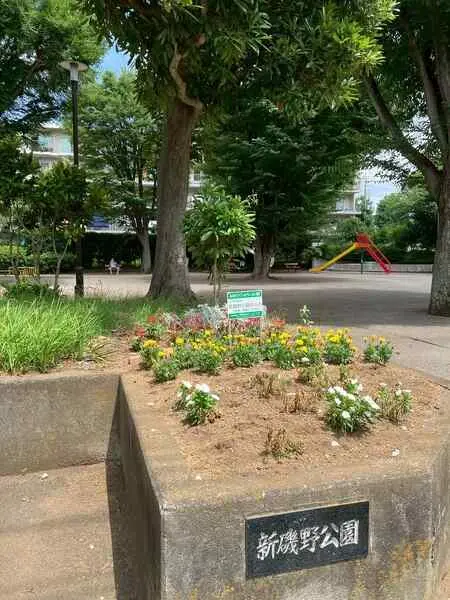 神奈川県相模原市南区新磯野３丁目 土地