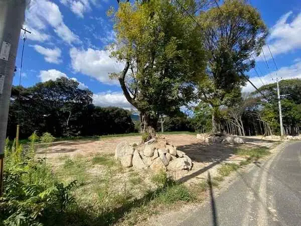 福岡県福岡市南区柏原１丁目 土地