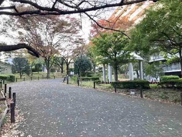 横浜・星の丘ビューシティ　タウラスルーフ（A棟）