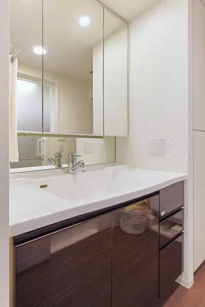 ザ・パークハウス川崎