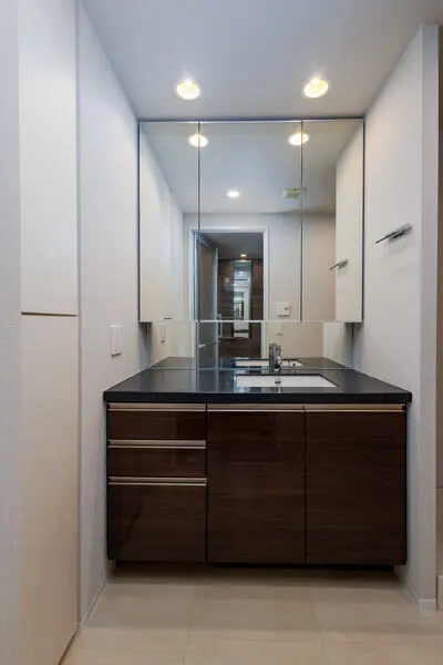 ザ・パークハウス中之島タワー