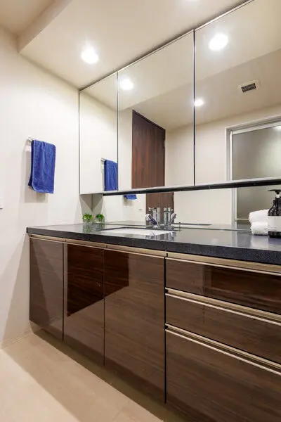 ザ・パークハウス中之島タワー