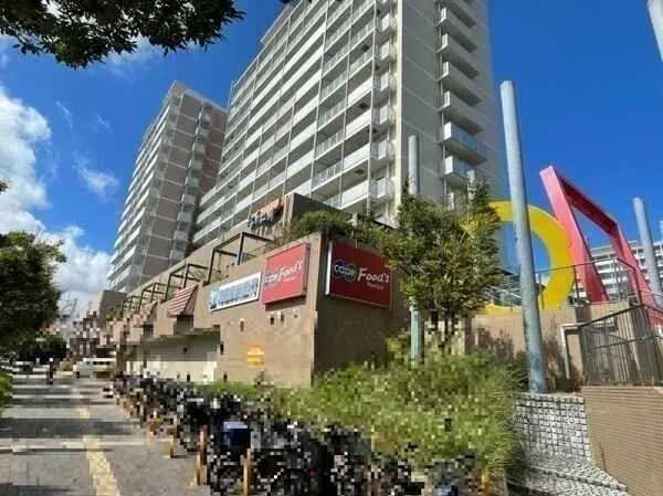 兵庫県西宮市仁川町４丁目 土地
