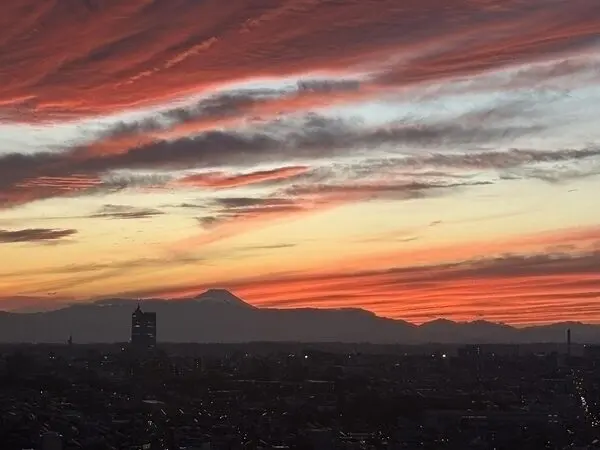 ザ・パークハウス三軒茶屋タワー