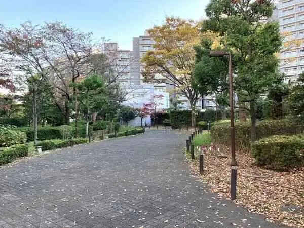 横浜・星の丘ビューシティ　タウラスルーフ（A棟）