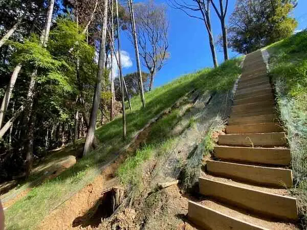 福岡県福岡市南区柏原１丁目 土地