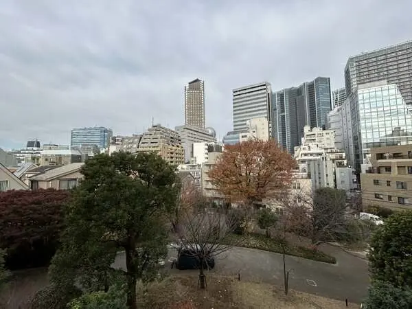 センチュリーフォレスト