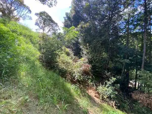 福岡県福岡市南区柏原１丁目 土地