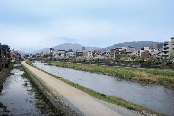 鴨川／約240m