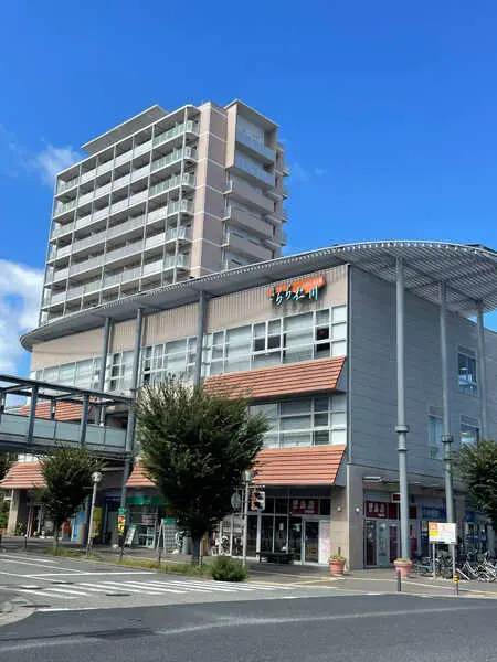 兵庫県西宮市仁川町４丁目 土地
