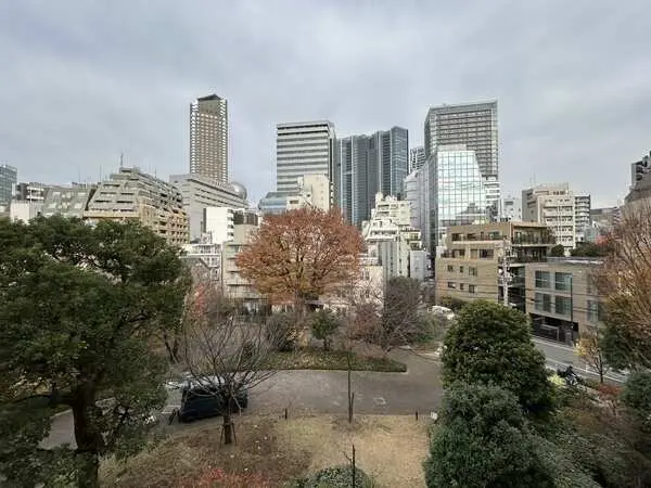 センチュリーフォレスト