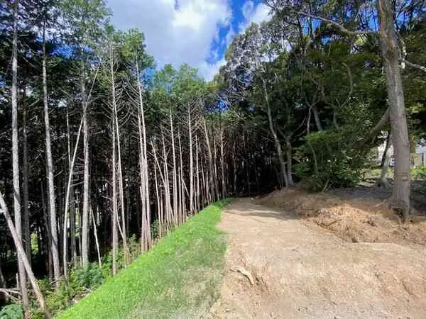 福岡県福岡市南区柏原１丁目 土地