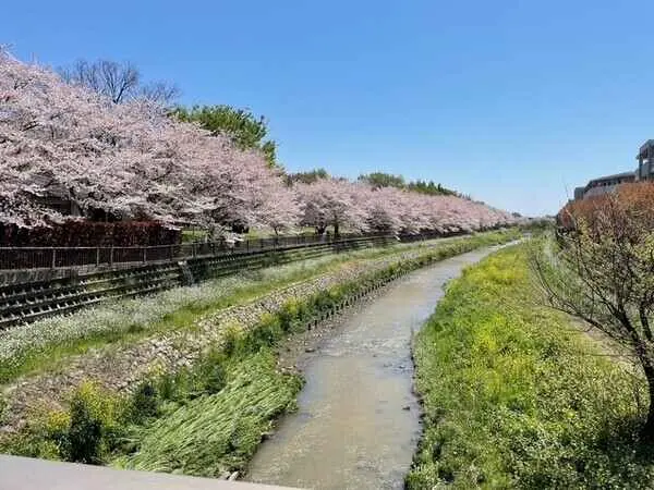 プレイスガーデン喜多見