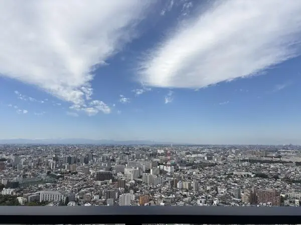 ザ・タワー十条