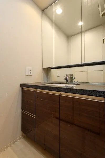 ザ・パークハウス中之島タワー