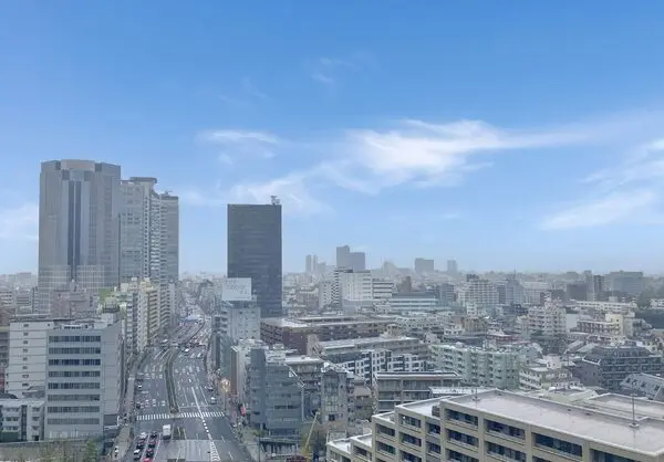 ザ・パークハウス新宿タワー