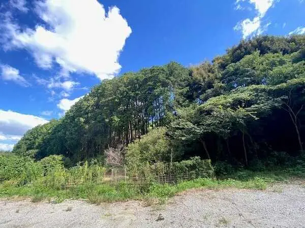 福岡県福岡市南区柏原１丁目 土地