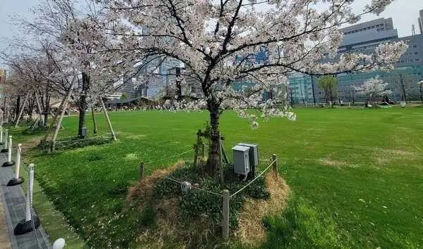 シティタワー天王寺