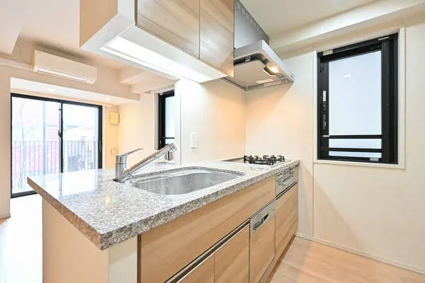 ザ・パークハウス上野