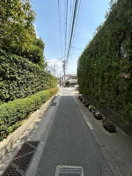 神奈川県鎌倉市雪ノ下１丁目 土地
