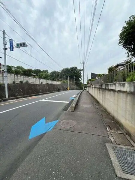 埼玉県さいたま市見沼区大和田町１丁目 土地