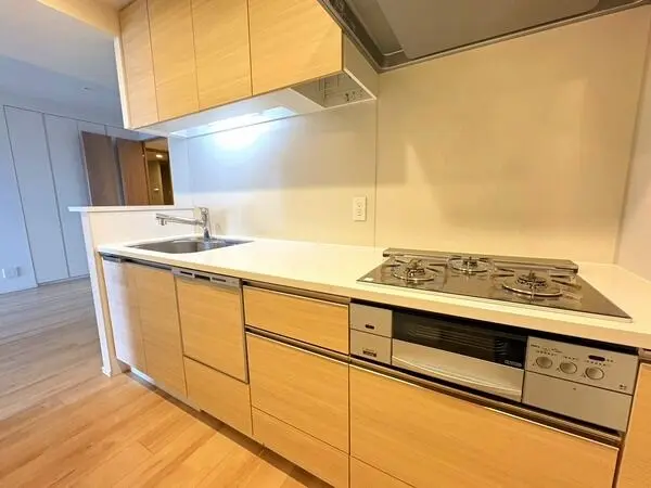 ザ・パークハウス中之島タワー