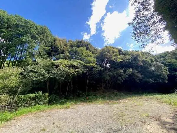 福岡県福岡市南区柏原１丁目 土地