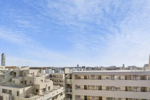 パークハウス東山