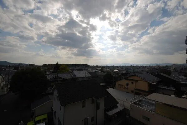 ワールドダック