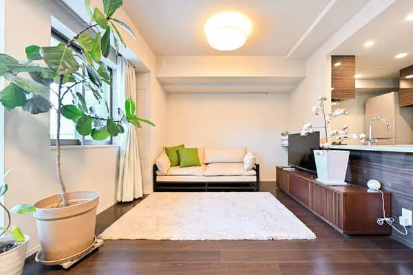 ザ・パークハウス市谷加賀町