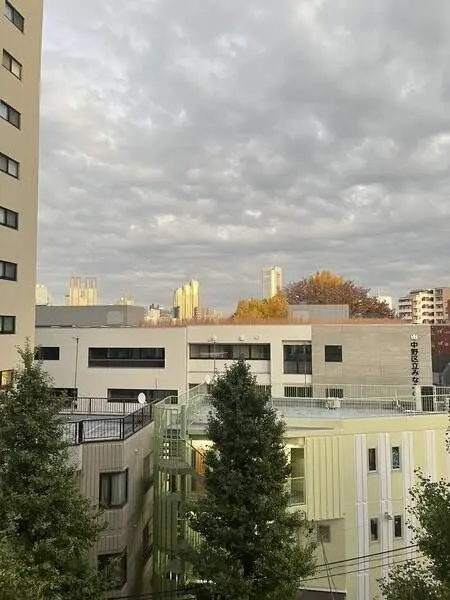 ザ・パークハウス中野弥生町テラス