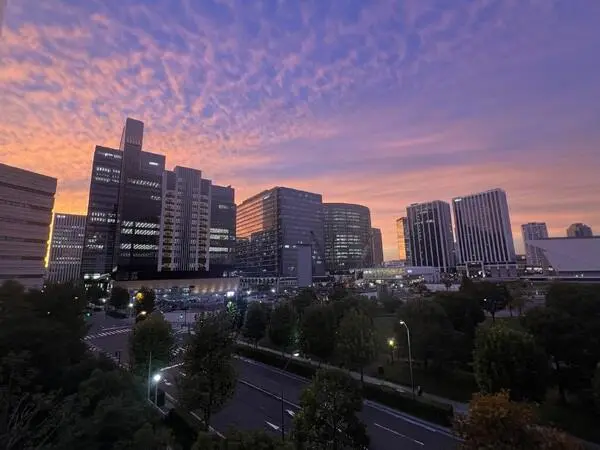 M.M.TOWERS FORESIS L棟