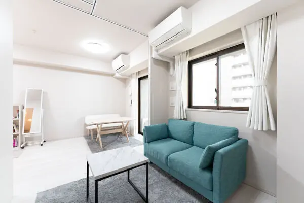 ザ・パークハウス曳舟