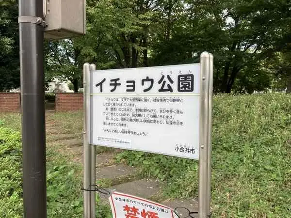 東京都小金井市前原町５丁目 土地
