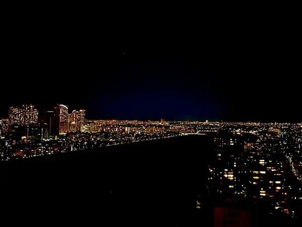 ザ・リバープレイスウエストタワー