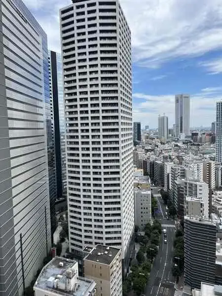 ザ・パークハウス西新宿タワー60