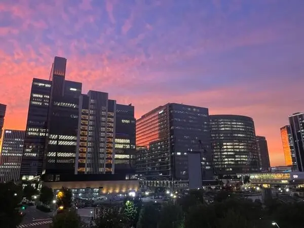 M.M.TOWERS FORESIS L棟