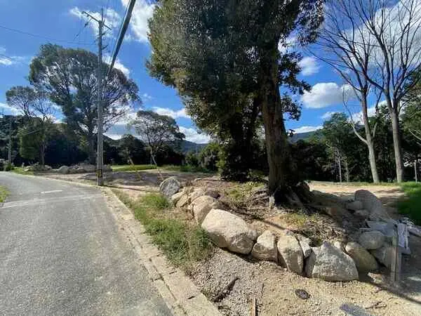 福岡県福岡市南区柏原１丁目 土地